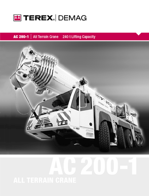 Кранове за всякакви терени Terex-Demag AC 200-1 (10x8x8)