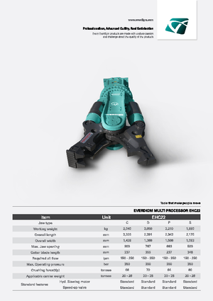 Мулти-процесори Everdigm EHC22