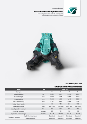 Мулти-процесори Everdigm EHC32