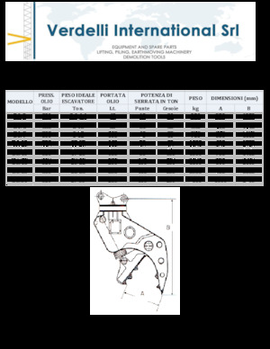 Бетонопулверизатори Verdelli D.I. 13