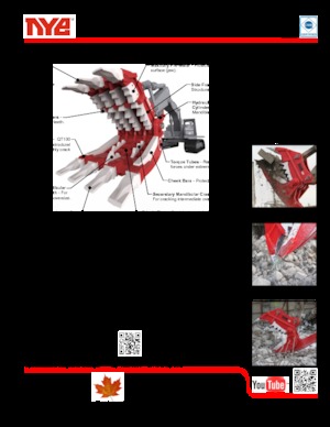 Бетонопулверизатори Nye TRX250