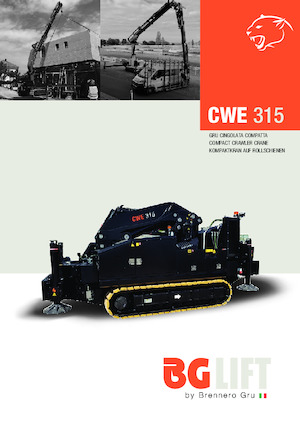 Верижни кранове - телескопична стрела BG Lift CWE 315 