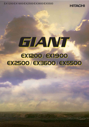 Верижни екскаватори Hitachi EX 1200-6