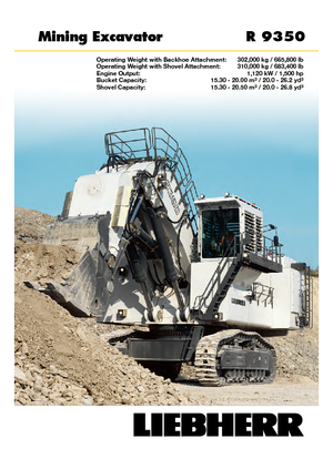 Верижни екскаватори Liebherr R 9350 