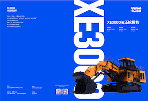 Верижни екскаватори XCMG XE3000
