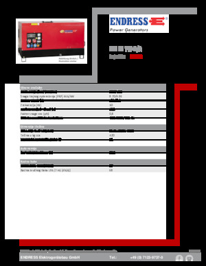 Дизелови генератори Endress ESE 10 YW-B/A 