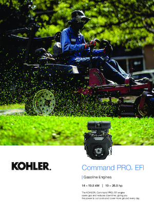 Двигатели Rehlko ECH749