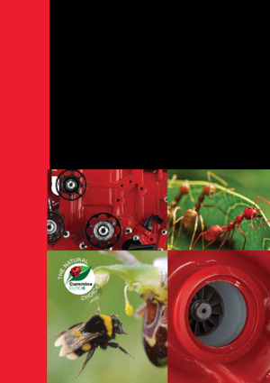 Двигатели Cummins ISB4.5