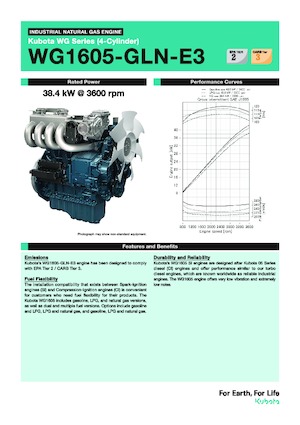 Двигатели Kubota WG1605-GLN-E3