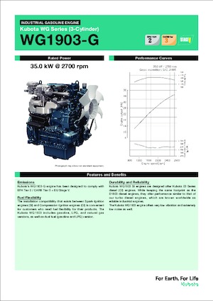 Двигатели Kubota WG1903-G