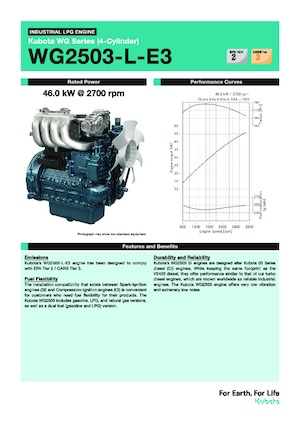 Двигатели Kubota WG2503-L-E3