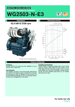 Двигатели Kubota WG2503-N-E3