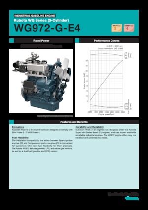 Двигатели Kubota WG972-G-E4