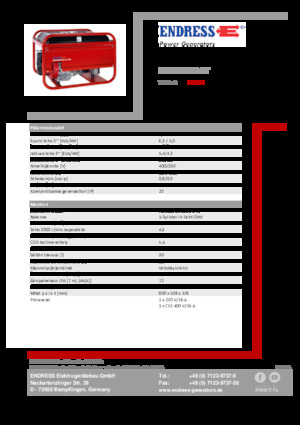 Бензинови генератори Endress ESE 506 DHS-GT