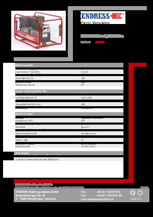 Бензинови генератори Endress ESE 704 SHS-AC / 60-200 A 