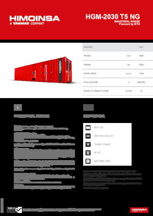 Бензинови генератори HIMOINSA HGM-2030 T5 NG