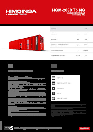 Бензинови генератори HIMOINSA HGM-2030 T5 NG