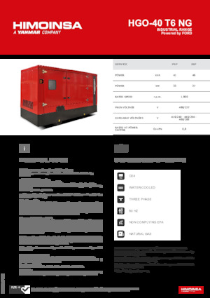 Бензинови генератори HIMOINSA HGO-40 T6 NG