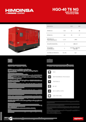 Бензинови генератори HIMOINSA HGO-40 T6 NG