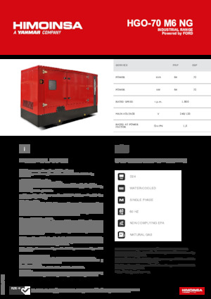 Бензинови генератори HIMOINSA HGO-70 M6 NG