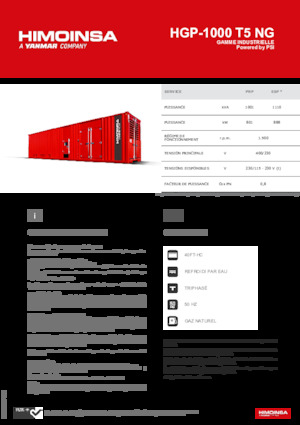 Бензинови генератори HIMOINSA HGP-1000 T5 NG