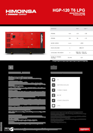 Бензинови генератори HIMOINSA HGP-120 T6 LPG