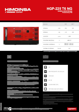 Бензинови генератори HIMOINSA HGP-225 T6 NG