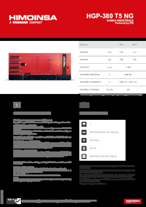 Бензинови генератори HIMOINSA HGP-380 T5 NG