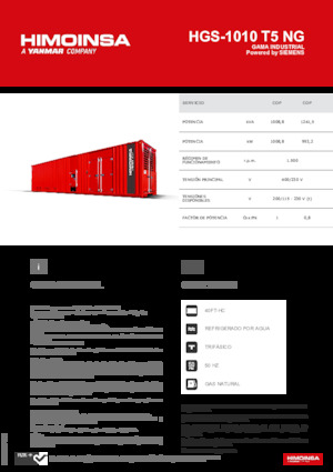 Бензинови генератори HIMOINSA HGS-1010 T5 NG