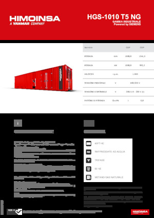 Бензинови генератори HIMOINSA HGS-1010 T5 NG