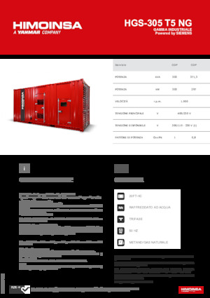 Бензинови генератори HIMOINSA HGS-305 T5 NG