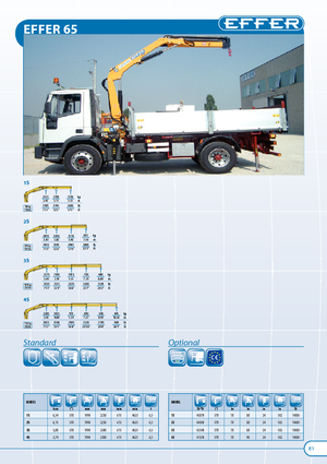 Хидравлични товарни кранове Effer 65 2S