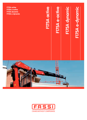 Хидравлични товарни кранове Fassi F 175 AC 0.24 active