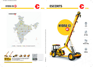 Промишлени подвижни кранове Escorts Hydra 1342