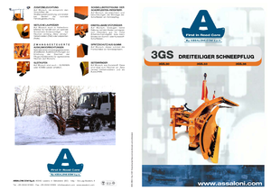 Многоостри снегорини Assaloni 3 GS 36*