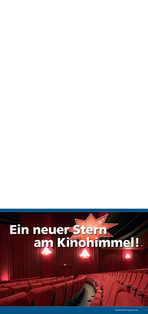 Подемници с единична вертикална мачта ALP-Lift PHC 1000 S CinemaLift