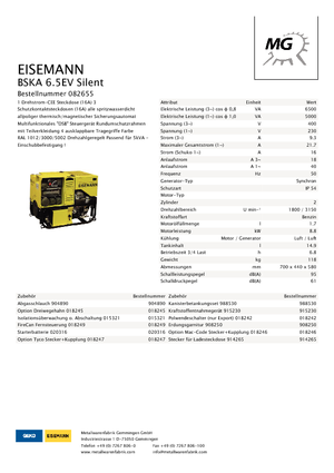 Бензинови генератори Eisemann BSKA 6.5 EV