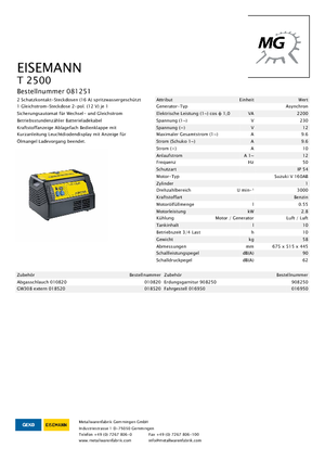 Бензинови генератори Eisemann T 2500