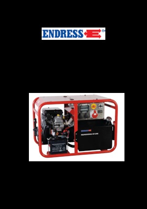 Бензинови генератори Endress ESE 1006 DBS-GT ES 