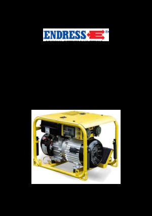 Бензинови генератори Endress ESE 304 HG DIN