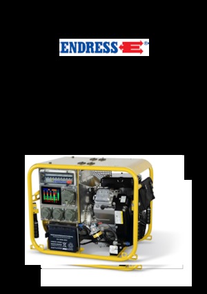 Бензинови генератори Endress ESE 604 DBG DIN