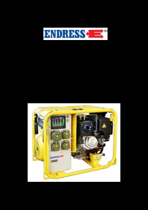 Бензинови генератори Endress ESE 604 DHG ES DIN