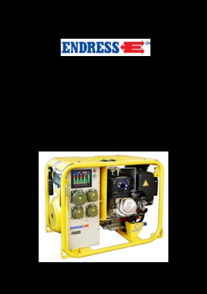 Бензинови генератори Endress ESE 604 DHG ES DIN
