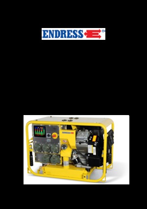 Бензинови генератори Endress ESE 904 DBG ES DIN
