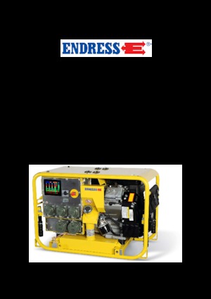 Бензинови генератори Endress ESE 904 DBG ES DIN