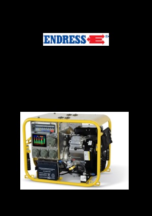 Бензинови генератори Endress ESE 954 DBG DIN