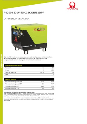 Бензинови генератори PRAMAC Lifter P 12000 THB