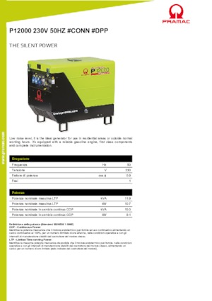 Бензинови генератори PRAMAC Lifter P 12000 THB