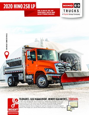 Твърдо шаси Hino 2020 HINO 258 LP 4x2