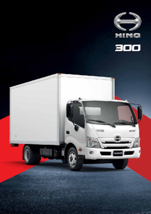 Твърдо шаси Hino 300 916 LWB MT